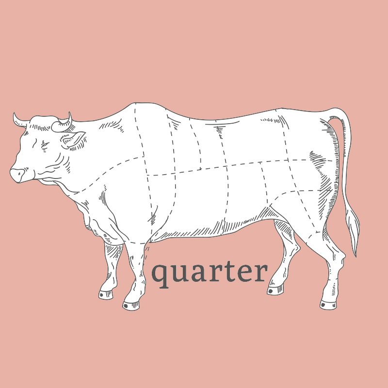 drawing of grass fed cow with word quarter on pink background as shop image